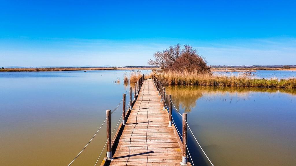 Appartement Proche Plage Le Grau-du-Roi Εξωτερικό φωτογραφία